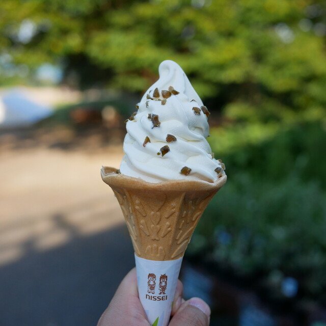 🏞️ 우시마도 올리브원(우시마도 오리-부엔) 이미지 5